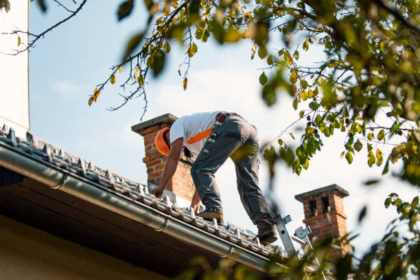 Best Emergency Roof Repair  in Eerlin, ND