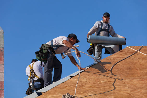 Best New Roof Installation  in Eerlin, ND