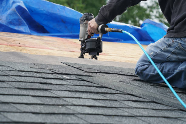 Best Roof Maintenance Services  in Eerlin, ND