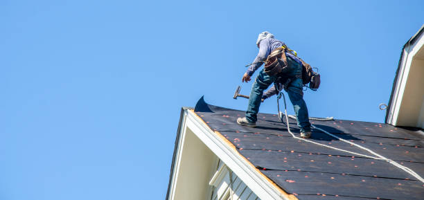 Best New Roof Installation  in Eerlin, ND